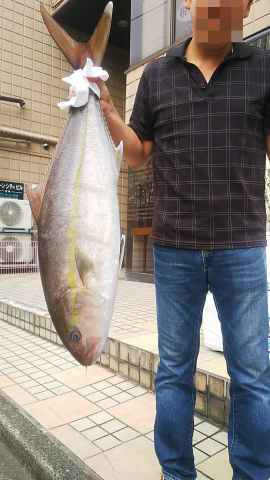 天然カンパチ20キロオーバー